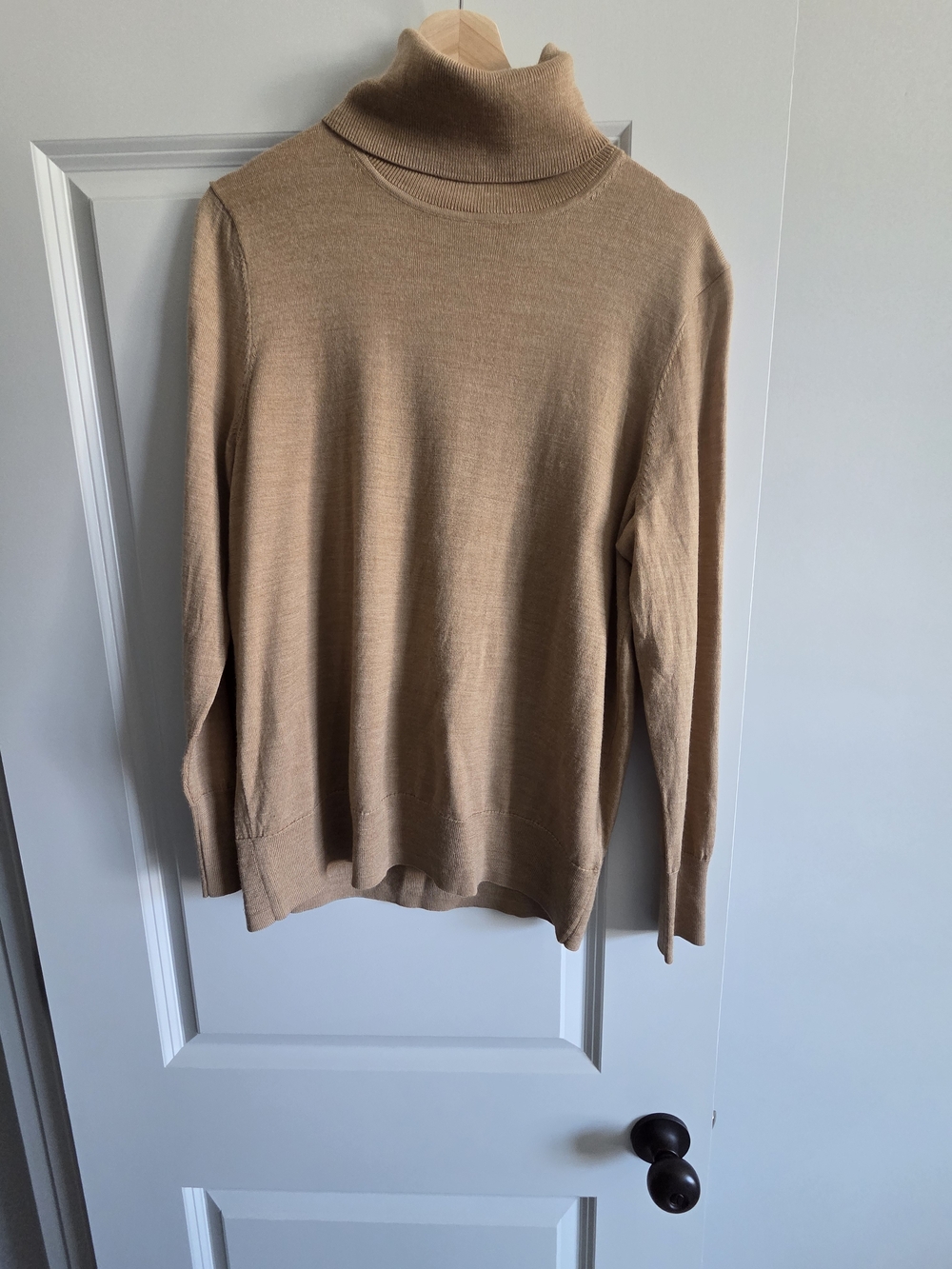 GAP Men's Tan Turtleneck Sweater